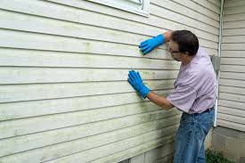 Affordable Siding Repair and Maintenance Services in Mojave, CA